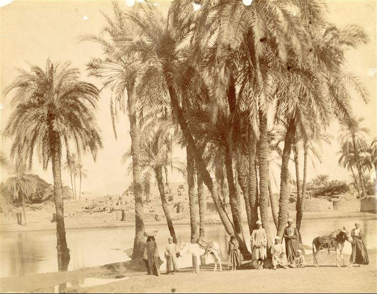The photograph depicts a group of Egyptians in the shade of a palm grove on the banks of one of the Nile’s canals. As stated in the caption on the back of the photograph; the village of Karnak is evident in the background, where some remains of ancient columns can be seen. 
