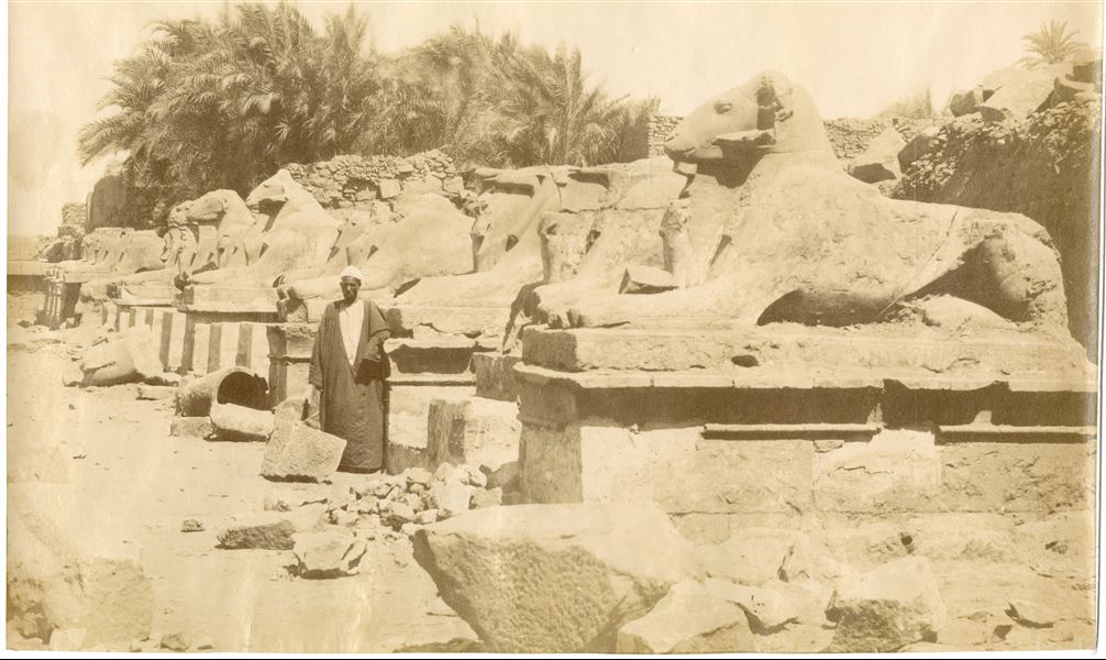 The photograph shows the northern side of the Avenue of (ram-headed) Sphinxes at Karnak, in front of the entrance to the Karnak Temple Complex. A local inhabitant poses in front of the camera. The photograph could most probably be attributed to Antonio Beato.   