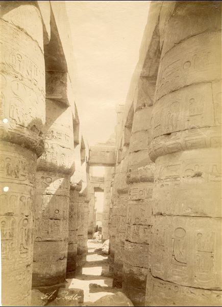 The photograph shows a part of the of the colonnade inside the Great Hypostyle Hall of the Karnak Temple Complex, built by Pharaoh Seti I and completed by his son Ramesses II. Note that the ground level still covers the columns' bases. The author's signature can be found at the bottom.    