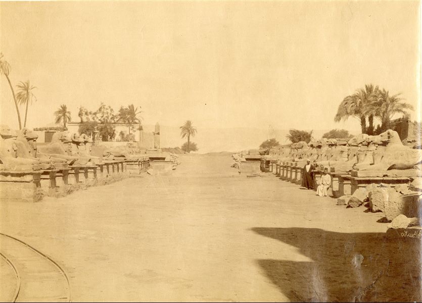The photo shows a view of the Avenue of the Sphinxes with ram's head at the Karnak Temple Complex, with two egyptians posing for the camera. In the foreground on the left, the rails that were used to clear the excavation area of debris are visible; a sign that work on the site had already begun. The author's signature which is mirrored, can be found at the bottom right.   