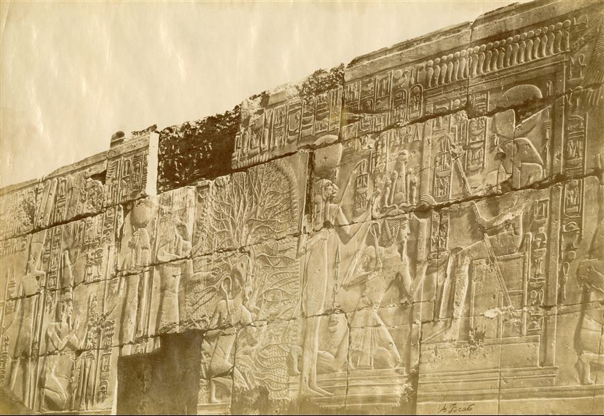 The photograph depicts sacred images carved on the internal perimeter walls of the Ramesside Great Hypostyle Hall in the Karnak Temple Complex (north wall, east side).  In the centre, Pharaoh Seti I, inside an ished tree writes his royal name on a leaf, together with the god Thoth. On the right, the pharaoh receives his “regnal years” from the gods Amun-Re and Weret-Hekau. The author's signature is visible at the bottom right. 