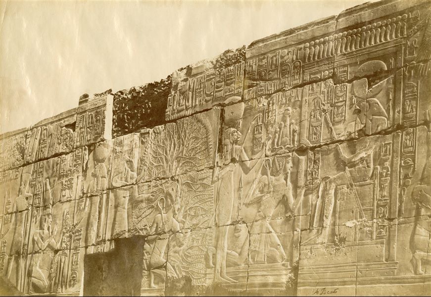 La fotografia raffigura le immagini sacre scolpite sulle pareti perimetrali interne della Grande Sala Ipostila ramesside nel complesso templare di Amon a Karnak (parete nord, lato est). Al centro, il faraone Seti I, all’interno di un albero-ished scrive il nome regale su di una foglia, insieme al dio Thoth. A destra, il faraone riceve “anni di regno” dagli dei Amon-Ra e Weret-Hekau. La firma dell'autore è apposta in basso a destra.