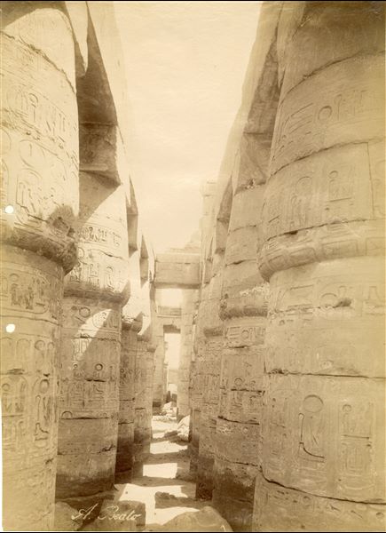 La fotografia presenta una parte del colonnato all'interno della Grande Sala Ipostila del complesso templare di Amon a Karnak, costruita dal faraone Seti I e ultimata dal figlio, Ramesse II. Da notare che il livello del terreno copre ancora le basi delle colonne. In basso si trova la firma dell’autore.