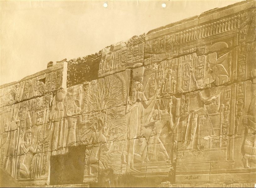 The photograph depicts sacred images carved on the internal perimeter walls of the Ramesside Great Hypostyle Hall in the Karnak Temple Complex (north wall, east side).  In the centre, Pharaoh Seti I, inside an ished tree writes his royal name on a leaf, together with the god Thoth. On the right, the pharaoh receives his “regnal years” from the gods Amun-Re and Weret-Hekau. The author's signature is visible at the bottom right. 