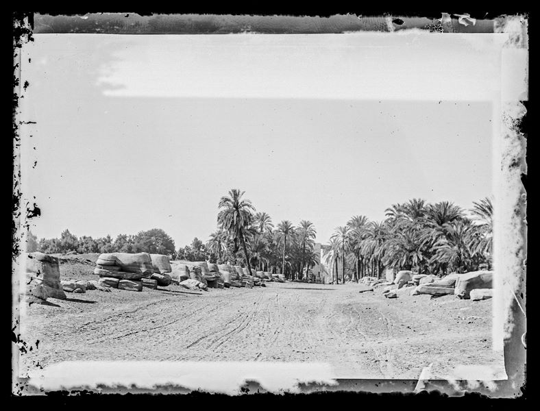 Viale con ai lati i resti di sfingi in pietra verso l’ingresso al complesso templare di Amon a Karnak. 
