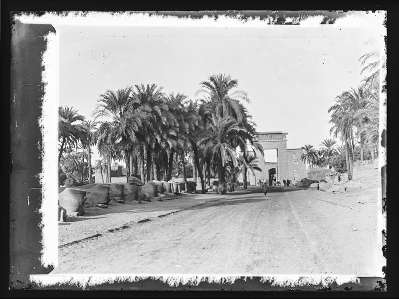 Ingresso meridionale al complesso templare di Amon a Karnak, costruito da Tolomeo III, coperto in parte dalle palme. Ai lati del viale due serie di sfingi a testa di ariete. Sulla strada, diversi egiziani.