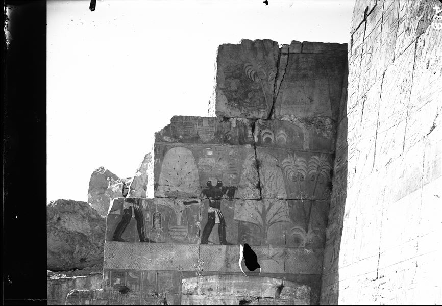 South side of the mortuary temple of Queen Hatshepsut at Deir el-Bahari. Wall scene from the portico in the middle terrace depicting the flora from the region of Punt, before restoration of the wall. 
