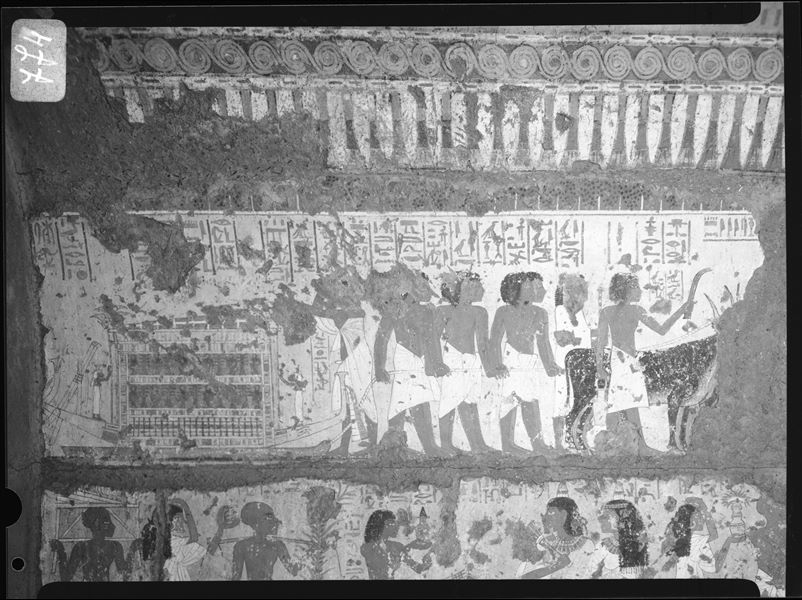 Left sidewall from the chapel of Maia. In the upper register, the scene displays the transport of Maia’s sarcophagus by six men and a pair of oxen. Schiaparelli excavations.