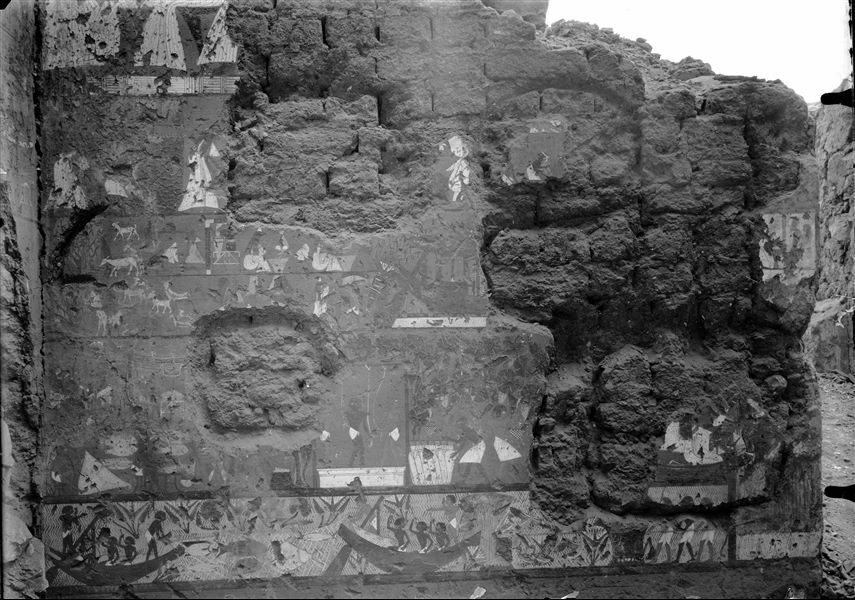 Parete est, lato nord, della camera trasversale della tomba di Ipuy (TT217). Sono rappresentati cinque registri, relativi ad aspetti della vita quotidiana, è ben visibile il primo dal basso, con scene di pesca, mentre il secondo riguarda, al centro, la produzione di vino, oggi non più visibile.