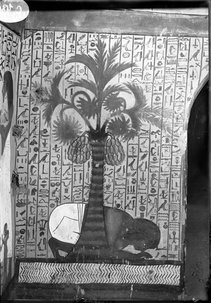 Detail of the east wall (of the entrance), north side, from the burial chamber of the tomb of Pashedu (TT 3). The deceased is depicted drinking water under a palm tree.  