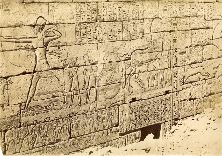 The image (like the previous one) offers a glimpse of the exterior wall decoration of the Temple of Medinet Habu, built by Ramesses III on the west bank of Thebes. Subjects include the Pharaoh dressed as an archer shooting an arrow (left) at the Sea Peoples (not visible in this shot), the royal chariot with attendants taking care of the horses (centre) and a lion hidden in the desert vegetation shot by arrows (right). The lower part of the wall is still to be cleared, lying below the ground level. The shot can be attributed to Antonio Beato. The photograph is slightly out of focus.