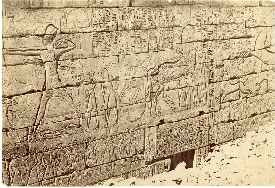 The shot offers a glimpse of the northern exterior wall decoration of the Temple of Medinet Habu, built by Ramesses III on the west bank of Thebes. Scene to the right of the naval battle. Subjects include the Pharaoh dressed as an archer shooting an arrow (left) at the Sea Peoples (not visible in this shot), the royal chariot with attendants taking care of the horses (centre) and a lion hidden in the desert vegetation shot by arrows (right). The lower part of the wall is still to be cleared, lying below the ground level. The shot can be attributed to Antonio Beato. 