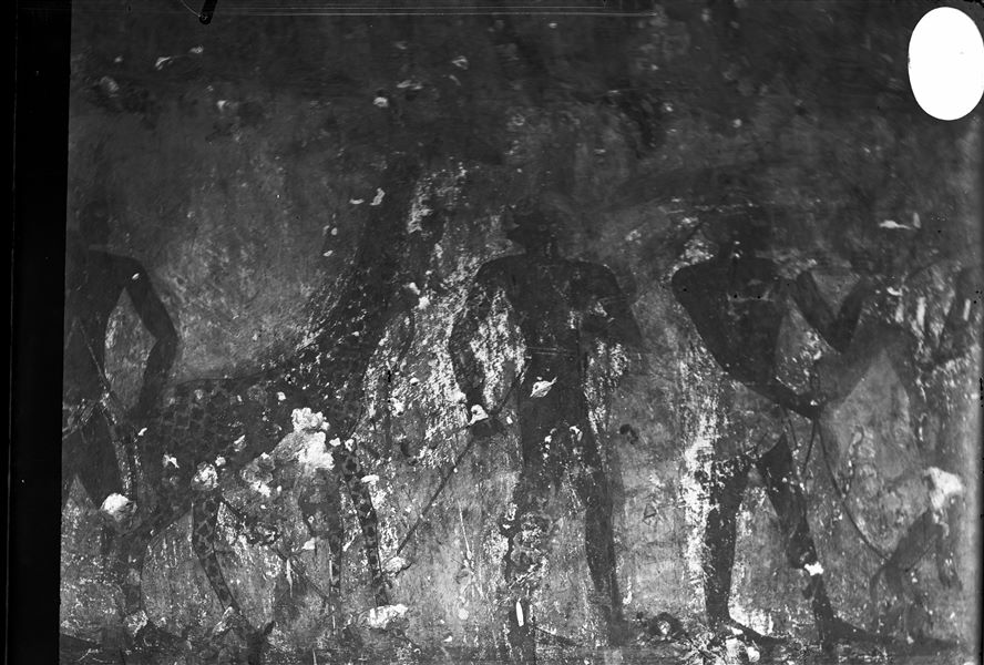 Parete ovest, lato sud, della camera trasversale della tomba di Rekhmira (TT100). È visibile il III registro dall’alto, nel dettaglio una giraffa, uno dei doni provenienti dai paesi meridionali. 