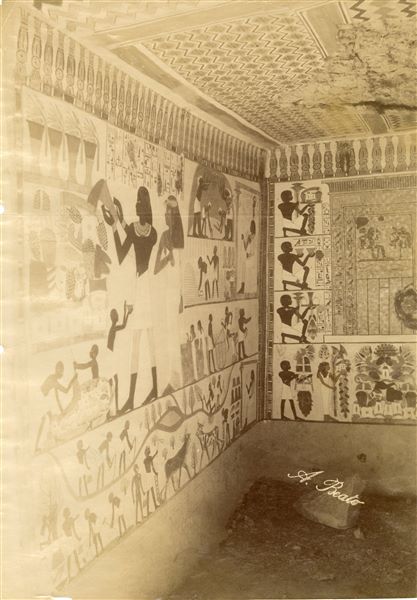 Photograph of a wall scene from the Tomb of Nakht (TT52), south and east walls. The wall shows some detailed offering scenes, and those of working in the fields . The author’s signature is visible at the bottom right. The photograph can be dated to no earlier than 1889, the year of the tomb’s discovery.