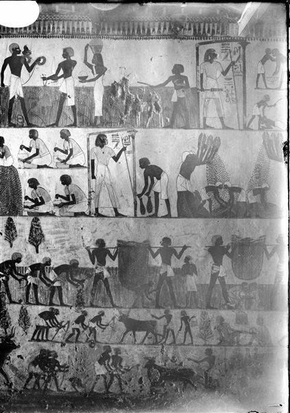 East wall, south side (left of the entrance) of the transverse chamber from the tomb of Menna (TT69). Depicted on several registers are scenes of daily life in the fields. 