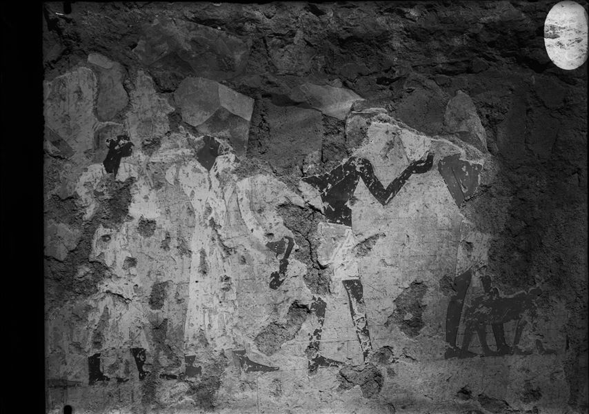 Wall scene from the tomb of Ineni (TT81).  