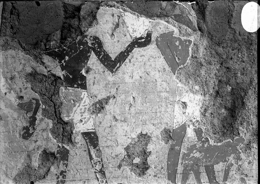 Detail from a wall scene, from the tomb of Ineni (TT81).  