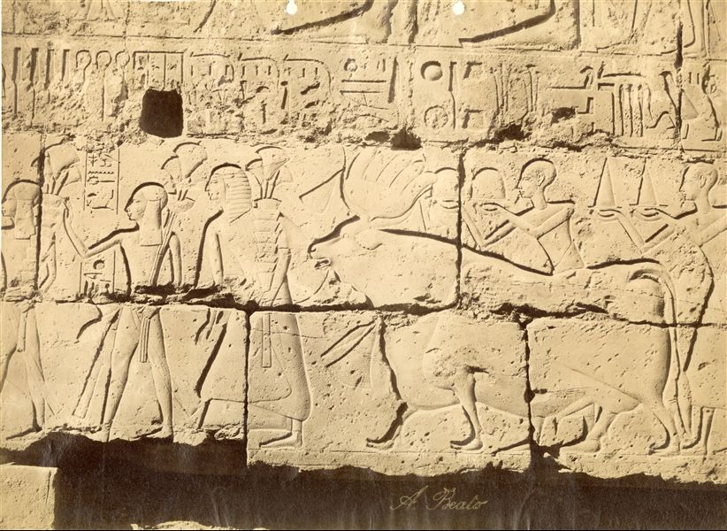 Il documento illustra una scena sacra dalla parete sud-occidentale del cortile di Ramesse II nel tempio di Amon a Luxor, nella quale si vedono sfilare due principi (gli altri quindici, che li precedono, non sono visibili in questa fotografia) e, a seguire, un sacerdote con un mazzo di fiori in mano che conduce un toro e alcuni portatori d'offerte. La firma dell'autore è posta in basso al centro.  