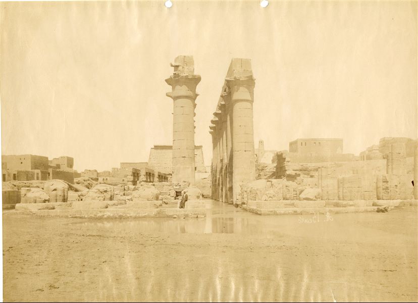 Nella fotografia è rappresentato il colonnato processionale di Amenhotep III nel tempio di Amon a Luxor, dal cortile anteriore, voluto dallo stesso sovrano. La fotografia documenta inoltre un momento particolare dell’anno, quando le acque del Nilo in piena raggiungono il tempio e, come in questo caso, lambiscono il basamento delle colonne. Un egiziano posa seduto per l'autore. La firma dell’autore è apposta con grafia speculare nella metà inferiore a destra.  