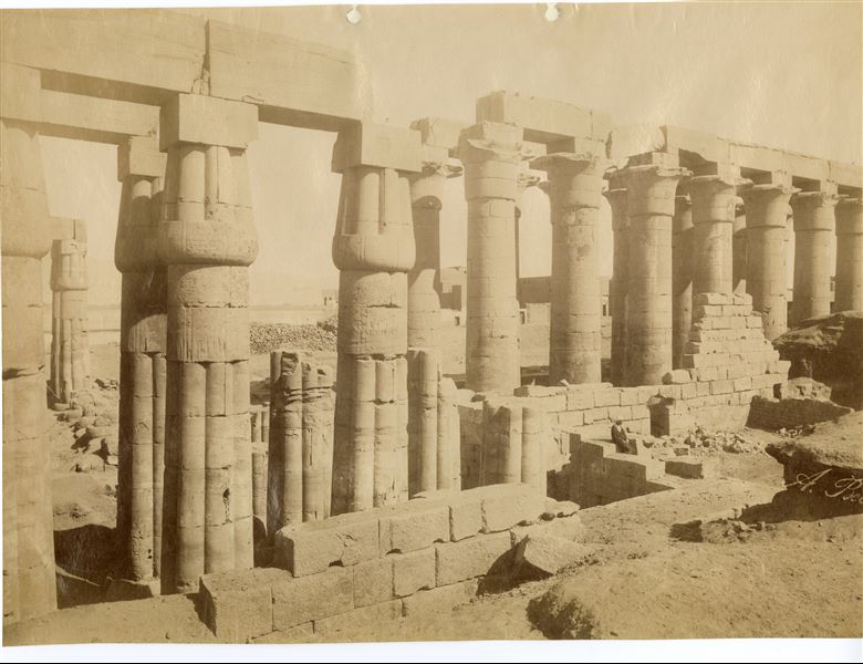 La fotografia presenta il lato orientale del colonnato processionale costruito da Amenhotep III nel tempio di Amon a Luxor. Dall’immagine si scorge anche l'angolo nord-orientale del cortile anteriore colonnato, costruito dallo stesso sovrano. La firma dell’autore è in basso a destra.  