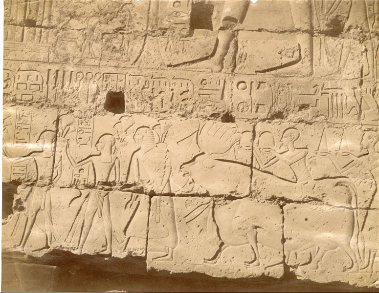 Il documento illustra una scena sacra dalla parete sud-occidentale del cortile di Ramesse II nel tempio di Amon a Luxor, nella quale si vedono sfilare gli ultimi due principi (gli altri quindici, che li precedono, non sono visibili in questa fotografia), figli di Ramesse II, e, a seguire, un sacerdote con un mazzo di fiori in mano che conduce un toro e alcuni portatori d'offerte. 