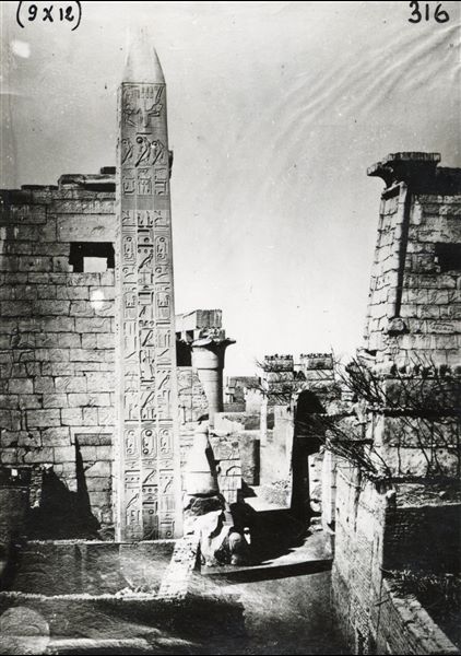 La fotografia sembra una ristampa moderna su carta fotografica di uno scatto ottocentesco. È rappresentato il pilone d'accesso al tempio di Amon a Luxor, visto da nord. Si 
riconoscono l'obelisco superstite di Ramesse II e una statua colossale dello stesso faraone ancora parzialmente insabbiata.