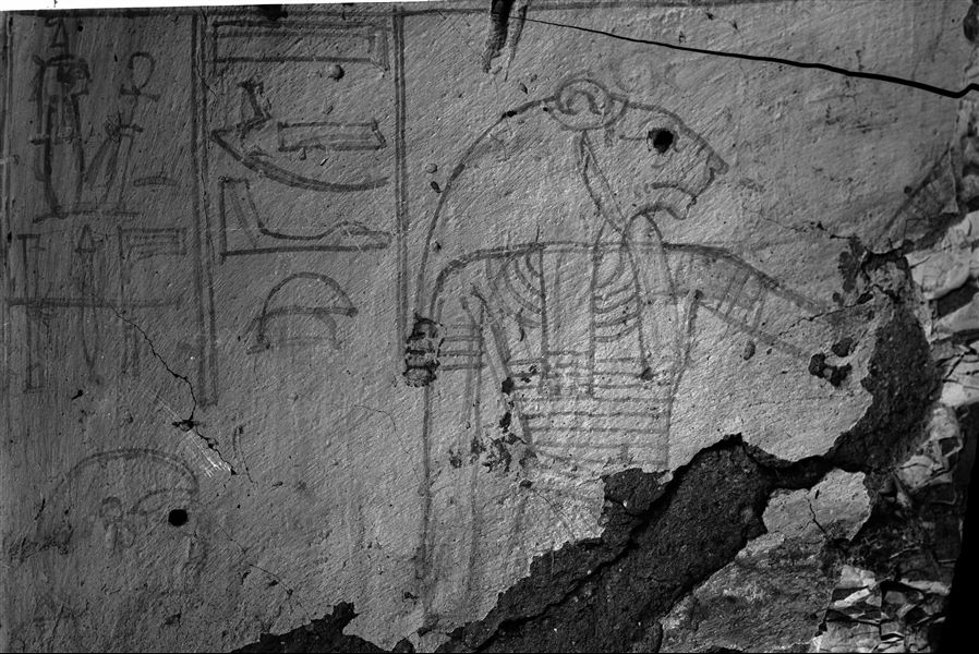 Draft of a wall painting. From the first chamber of tomb Queen Sitre (QV38).  