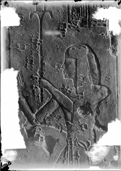 Depiction of Prince Setiherkhepeshef on the west wall of the first corridor in tomb QV43. The prince is holding a large feather-fan, not visible in this photograph. Schiaparelli excavations.