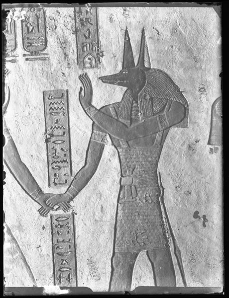 East wall of the vestibule (scene 3) from tomb QV44, depicting the god Anubis who is holding the hand of Ramesses III (the pharaoh is not visible in this photograph). Schiaparelli excavations.