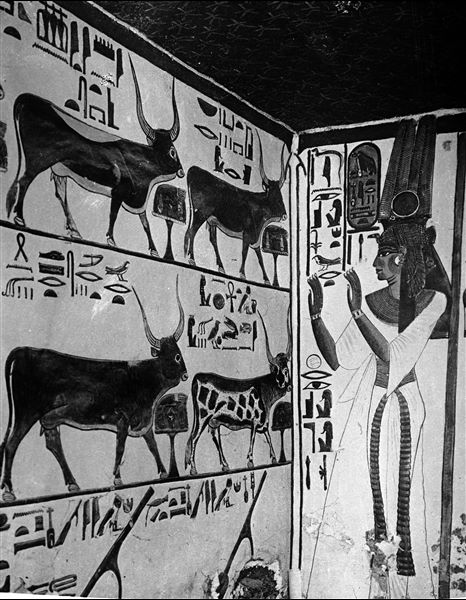 South-west corner of the first eastern annex (alcove). The west wall, south side, shows scene 16, with a representation of Nefertari. The south wall (left, scene 17) shows three registers with Spell 148 of the Book of the Dead. Each of the animals has an altar with food offerings in front of it, for the nourishment of Nefertari. The lower register shows four helms, used by the queen during her journey among the stars.