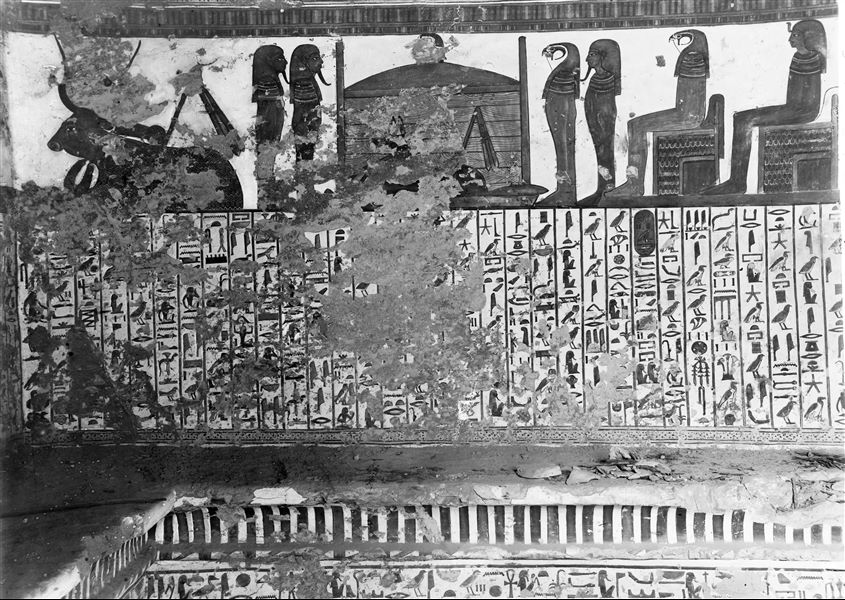 View of the antechamber, north wall, scene 4. In the upper register (from the left): the celestial cow, a canopic chest with the animal representation of the god Anubis; by his sides are the four sons of Horus in pairs. Two seated figures follow the scene, possibly the gods Ra and Shu. The central register shows Spell 17 of the Book of the Dead.