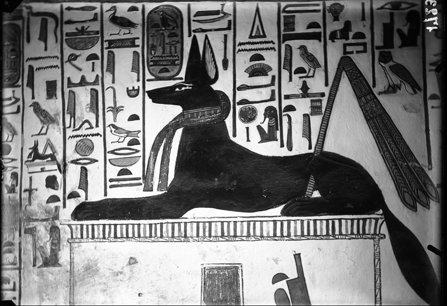 Descending corridor, west wall, scene 26. Central register, detail of the god Anubis resting on a shrine. The god is facing the antechamber. The inscriptions are benevolent expressions uttered by the god to Nefertari.