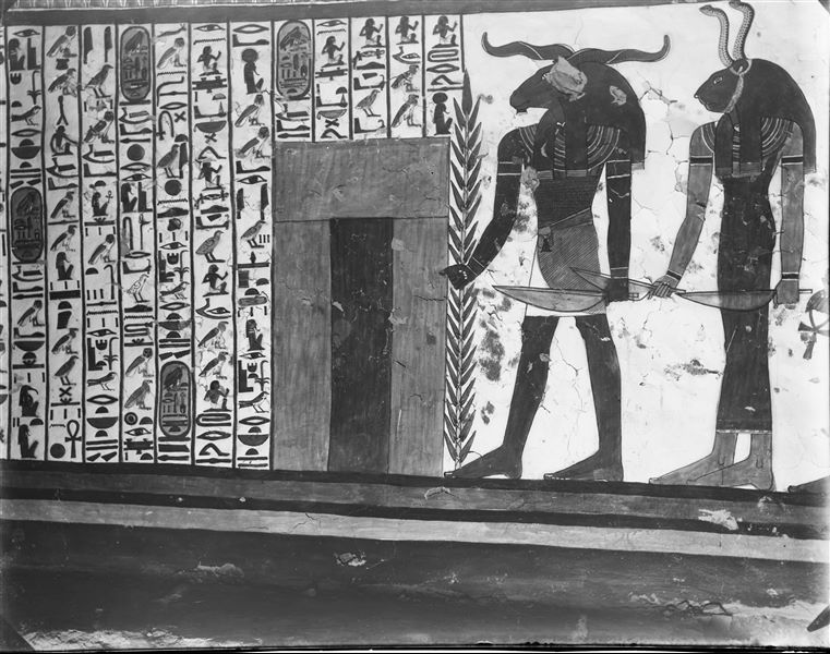 Burial chamber, west wall, scene 30. The representation of Spell 144 of the Book of the Dead continues. The second portal, which Nefertari must pass through, can be seen as well as two of her guardians (the third is not visible here).