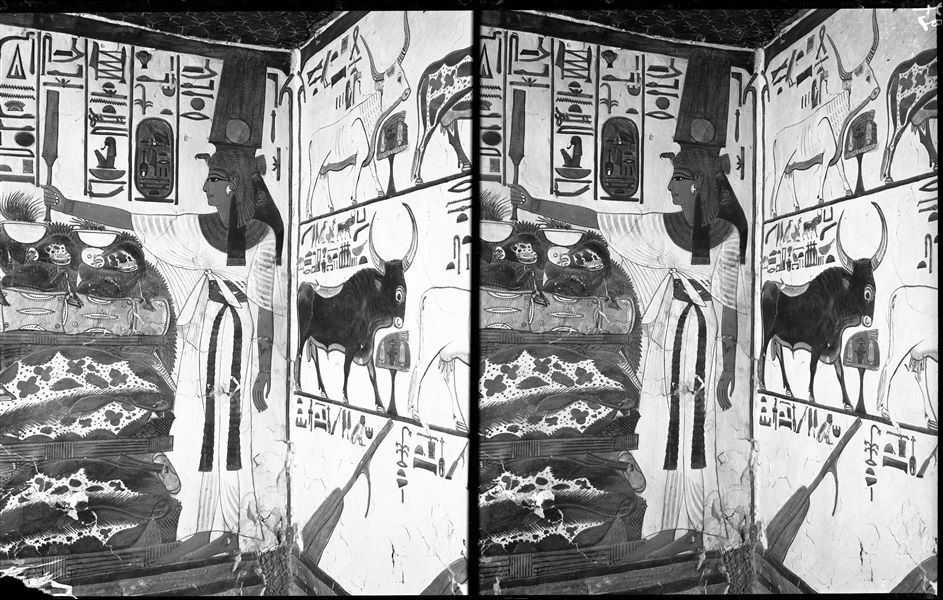 South-east corner of the first eastern annex, where parts of scenes 17 and 18 are visible. The south wall (scene 17) shows Spell 148 of the Book of the Dead, with a series of seven cows and a bull in the central register. The east wall (scene 18) shows Nefertari with the Sekhem sceptre, in the act of making offerings to honour the god Atum, not visible here.