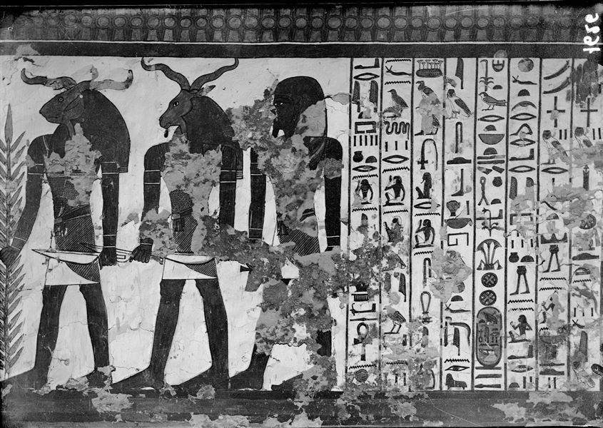 Camera funeraria, parete nord, scena 31. Sono visibili, sulla sinistra, i tre attendenti della quarta porta, che Nefertari deve attraversare. Vi è poi la continuazione del testo del cap. 144 del Libro dei Morti. Oggigiorno una parte di intonaco di questa parete è crollata.