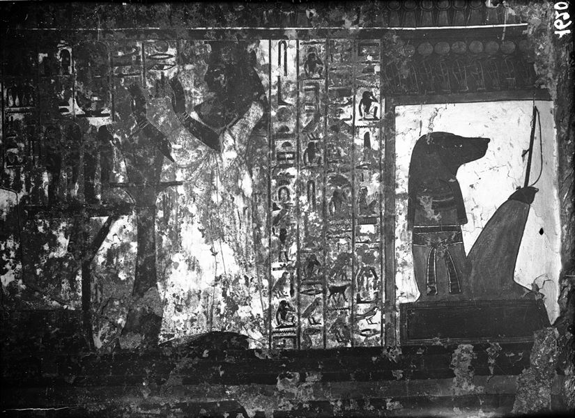 Camera funeraria, parete nord, lato est, scena 35. Si conclude la rappresentazione del cap. 146 del Libro dei Morti, si riconoscono il decimo portale e il suo guardiano, con testa di canide. A sinistra invece, Nefertari rende omaggio, con offerte, a tre divinità assise, Osiride, Hathor e Anubi, non visibili in questa fotografia.