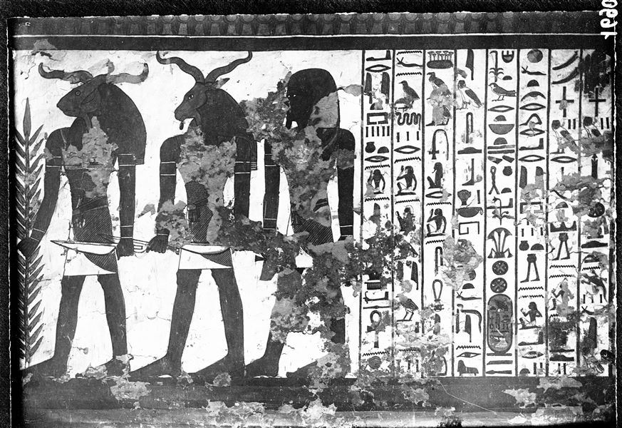 Camera funeraria, parete nord, scena 31. Sono visibili, sulla sinistra, i tre attendenti della quarta porta, che Nefertari deve attraversare. Vi è poi la continuazione del testo del cap. 144 del Libro dei Morti. Oggigiorno una parte di intonaco di questa parete è crollata.