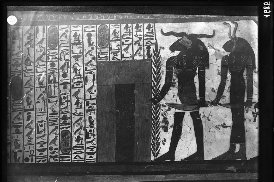 Camera funeraria, parete ovest, scena 30. Continua la rappresentazione del cap. 144 del Libro dei Morti, con la presenza della seconda porta, che Nefertari deve attraversare, e due dei suoi attendenti (il terzo non è qui visibile).