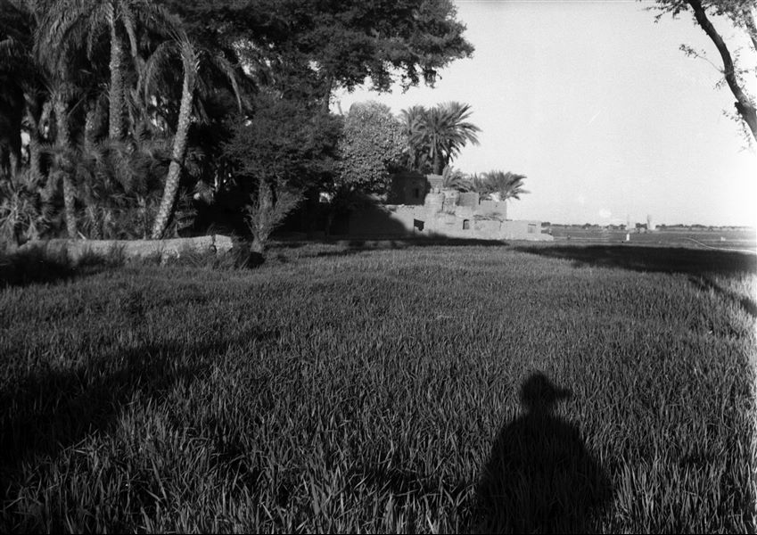 Veduta della piana antistante la montagna tebana, sulla sinistra, le strutture nei pressi della vecchia Chicago House, ora smantellata, mentre a destra sono da lontano individuabili i due Colossi di Memnone. Scavi Schiaparelli.