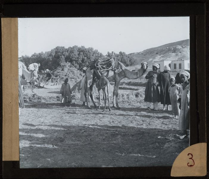 Group of Egyptians with camels, in the background, the old Chicago House, now dismantled. Schiaparelli excavations.