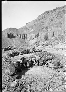 C00788