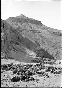 C00811