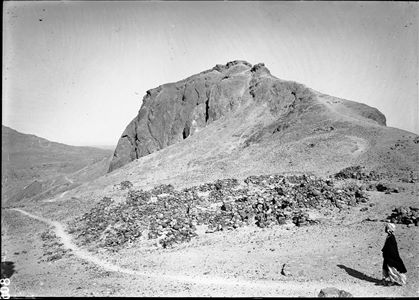 C00805