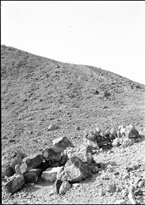 C00810