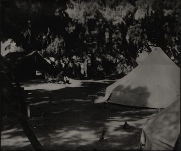 C66_11_29