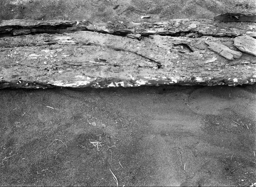 Detail of the bottom of a wooden coffin, now misshapen due to advanced deterioration, like much of the organic material found during the excavations. It was probably abandoned or left to the Cairo Museum. Schiaparelli or Farina excavations. 