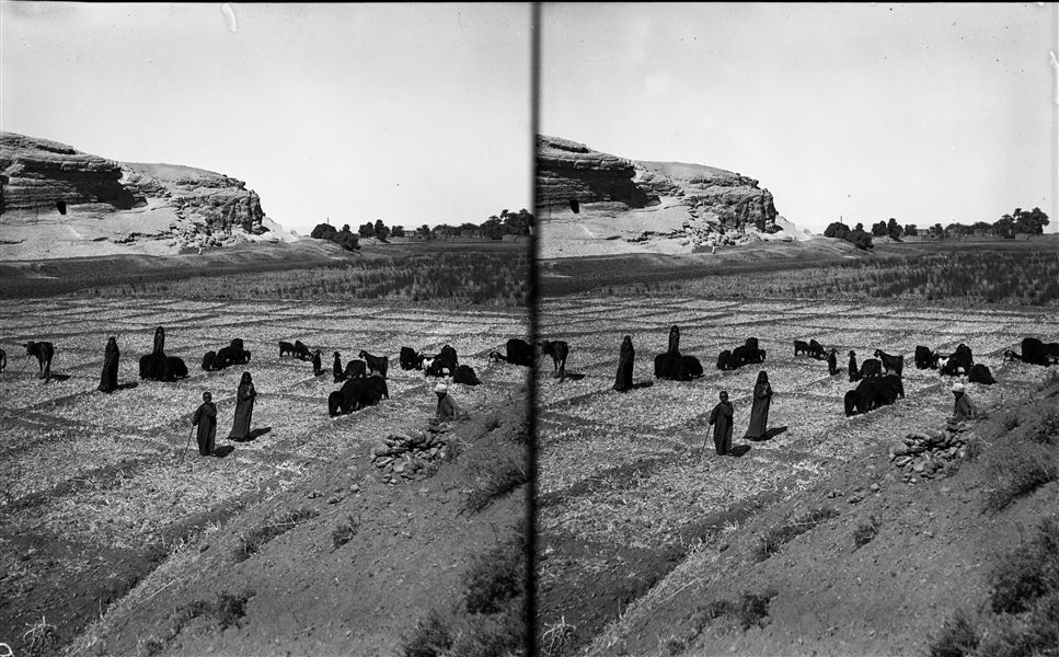 Northern end of the southern hill. The entrance to the rock-cut temple dedicated to the goddess Hathor is visible on the eastern slope. Notable in the foreground is the skilful landscaping of the terrain, with the creation of canals and small embankments to retain the Nile water during floods. Schiaparelli or Farina excavations. 