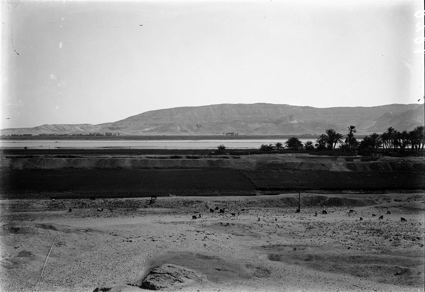 View from the northern hill. In the background, the Nile and the mountain range of the Eastern Desert. Schiaparelli excavations. 