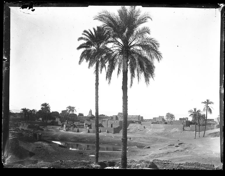  A general view of Gebelein, with palm trees in the foreground. 