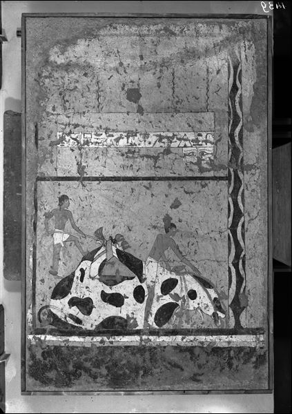 Tomb of Iti and Neferu. Museum display. Left wall scene from the cult chapel’s entrance wall. At the top, the large quadrangular coffin of the tomb owner in light wood, placed under an elegant canopy. Below is a ritual slaughter scene. Schiaparelli excavations. (S.14354/8) 